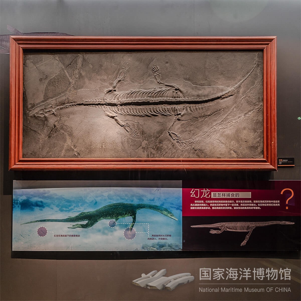 幻龙
